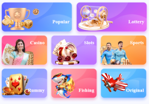 Types of Games Available on the Daman Game App?